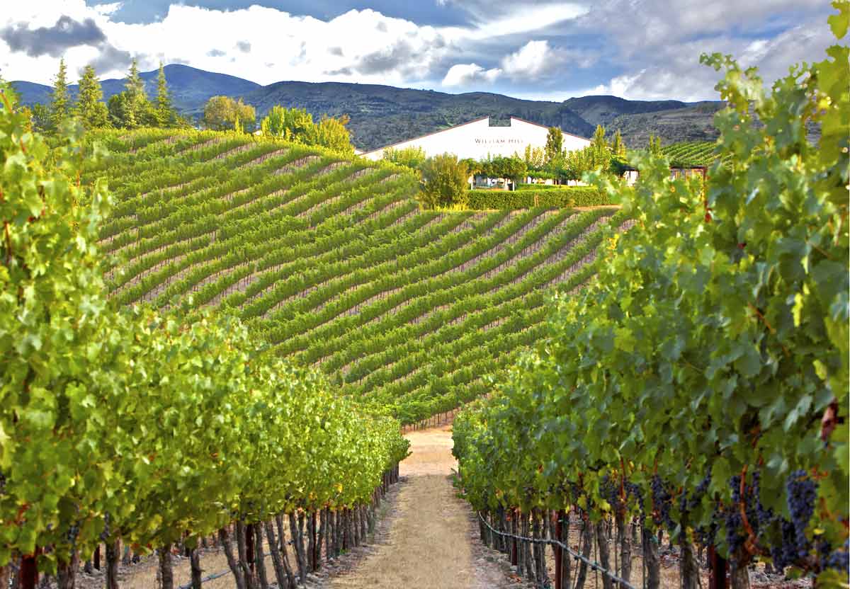 Tìm hiểu về vùng BORDEAUX, một nơi rất chất nếu bạn là tín đồ rượu vang Pháp